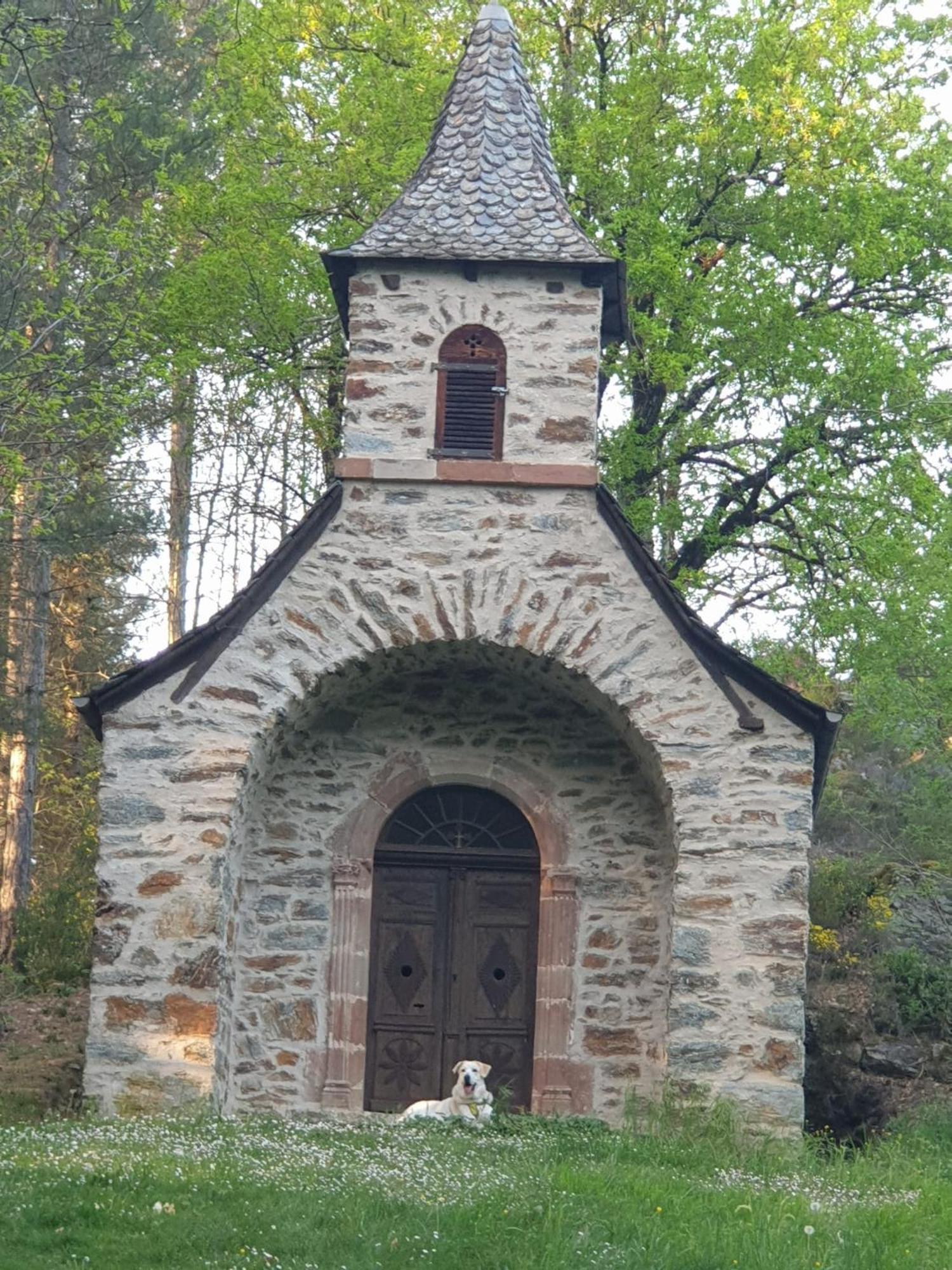 Aux Gorges Du Dourdou Hotel Conques-en-Rouergue Екстериор снимка